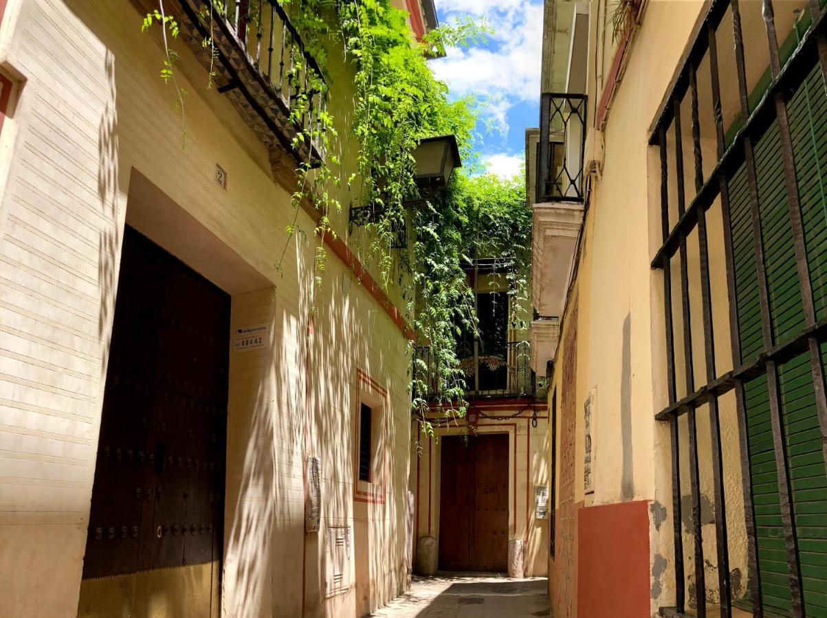 Acogedor Apt 8Pax 4Bdr 2Bth- Cozyhomesevilla2 외부 사진
